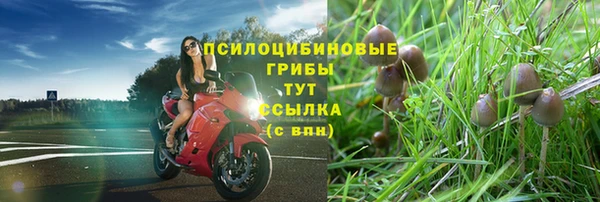 spice Каменногорск