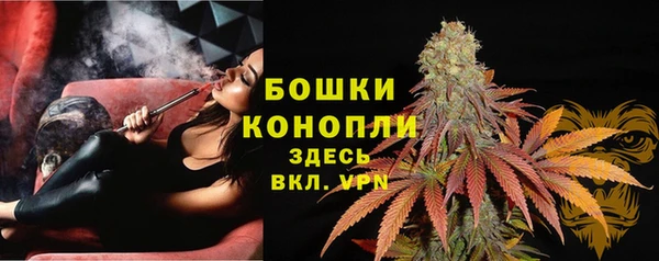spice Каменногорск