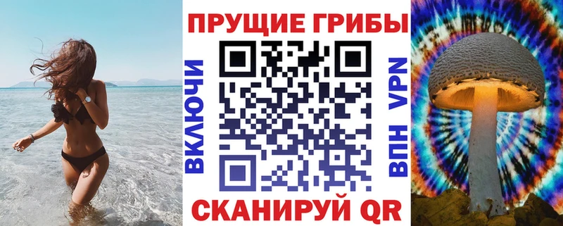 Галлюциногенные грибы GOLDEN TEACHER  Купить  Западная Двина 